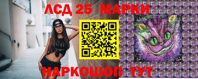 гашик Краснознаменск