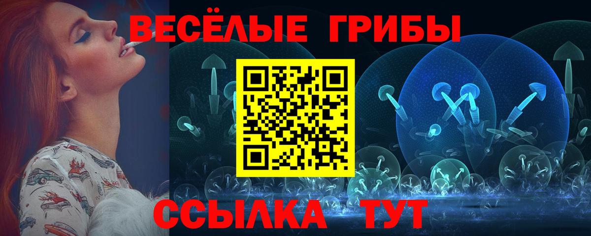 Калининград  Галлюциногенные грибы Magic Shrooms  Вход с VPN 